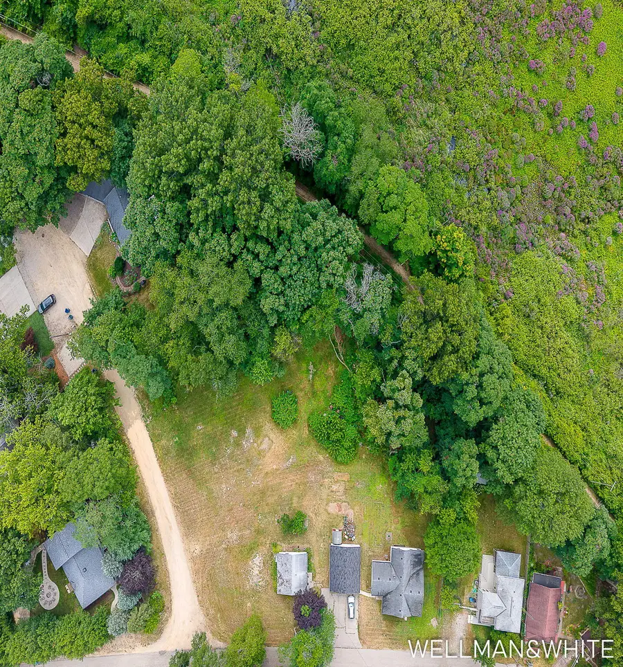 1019 Elizabeth Street, Saugatuck, MI 49453 - #3