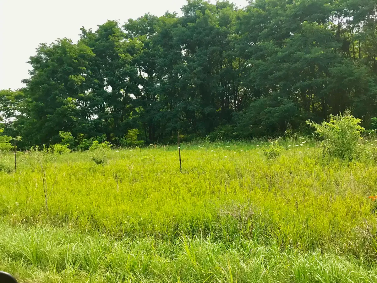 Buckhorn Road #Lot J, Three Rivers, MI 49093 - #1