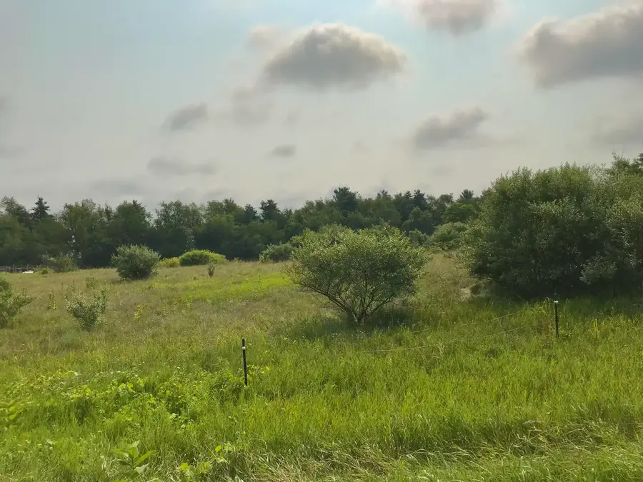 Buckhorn Road #Lot J, Three Rivers, MI 49093 - #2