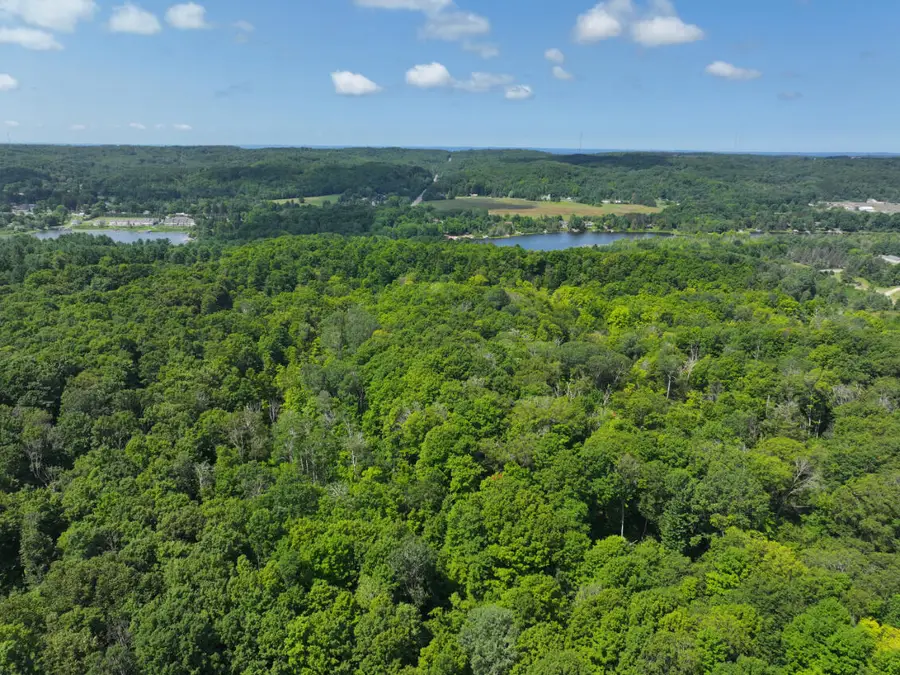 V/L 10A Bunker Hill Road, Central Lake, MI 49622 - #2