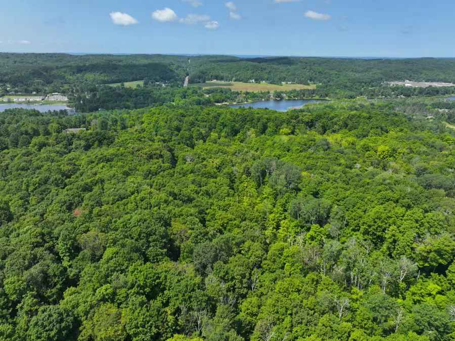 V/L 10A Bunker Hill Road, Central Lake, MI 49622 - #3