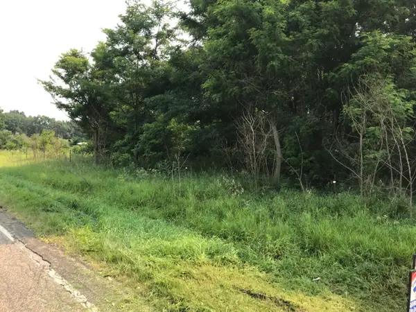 Lot H Buckhorn Road, Three Rivers, MI 49093