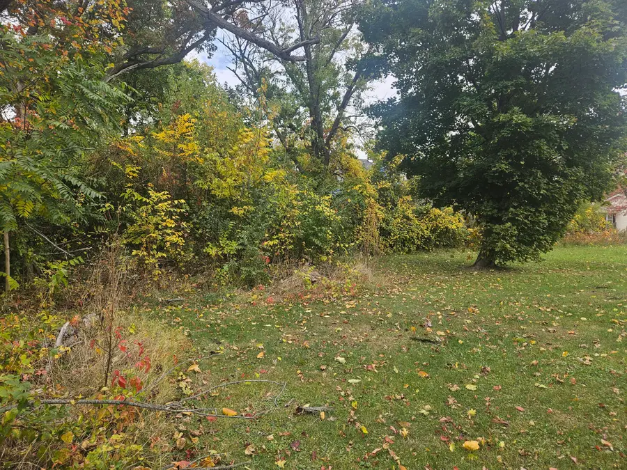 238 Pine Street, Benton Harbor, MI 49022 - #3