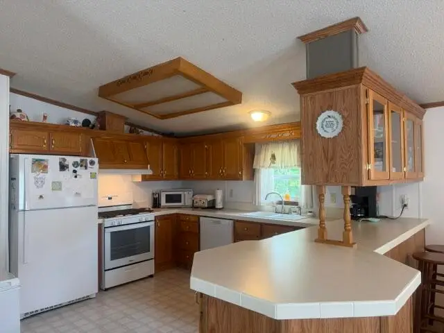 653 S Bluegill Lane, Newaygo, MI 49337 - #3