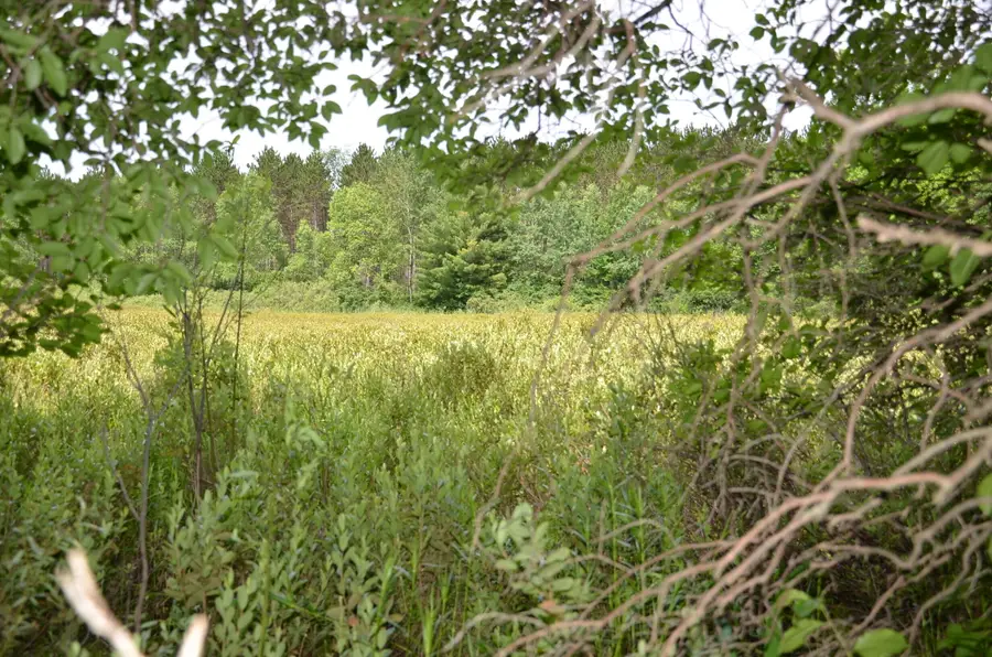 Marsh Road, Fife Lake, MI 49633 - #3