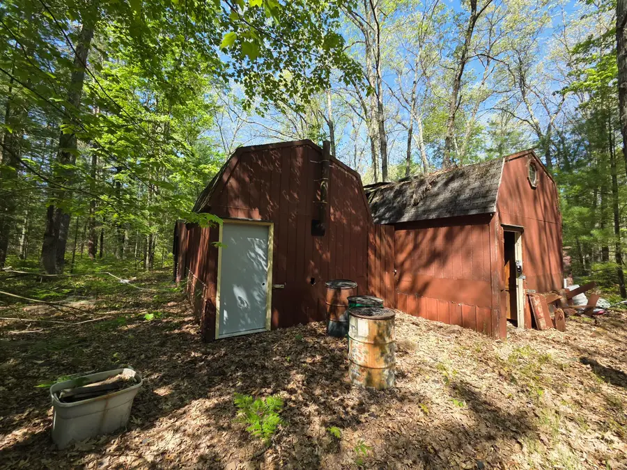 10622 W 7 Mile Road, Irons, MI 49644 - #2