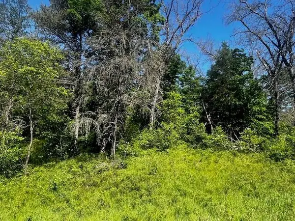 Parcel 1 M-37, Irons, MI 49644