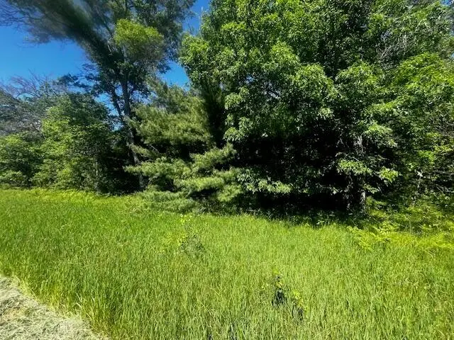 Parcel 1 M-37, Irons, MI 49644 - #3