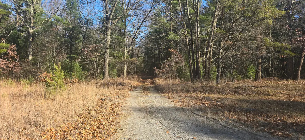 W Cedar Road, Twin Lake, MI 49457 - #1
