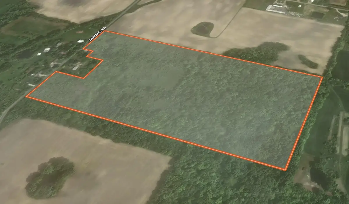 8453 S Durand Road, Durand, MI 48429 - #1
