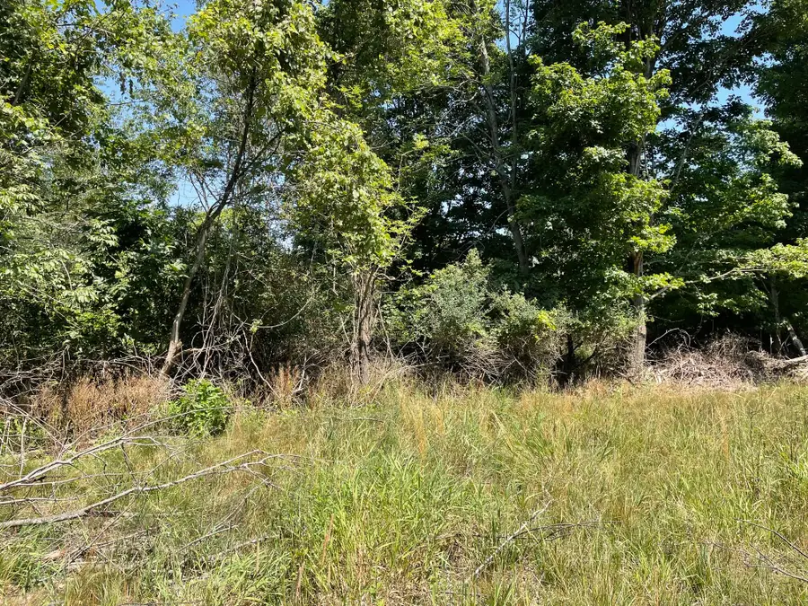 6893 Wiley Road, Fennville, MI 49408 - #2