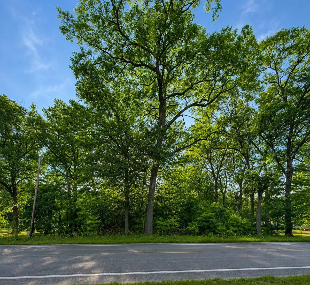 S Mill Iron Road, Muskegon, MI 49442 - #1