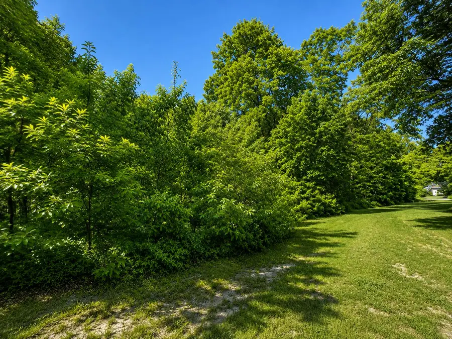 S Mill Iron Road, Muskegon, MI 49442 - #2