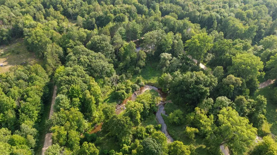 10013 E Beal City Road, Denver, MI 48858 - #3