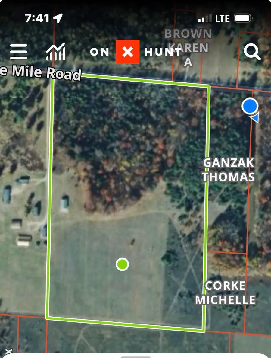 9 Mile Road, Kaleva, MI 49645 - #3