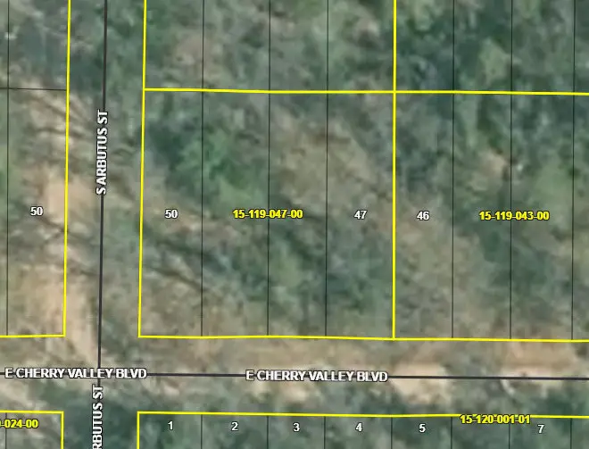 1384 Cherry Valley Drive, Idlewild, MI 49642 - #1