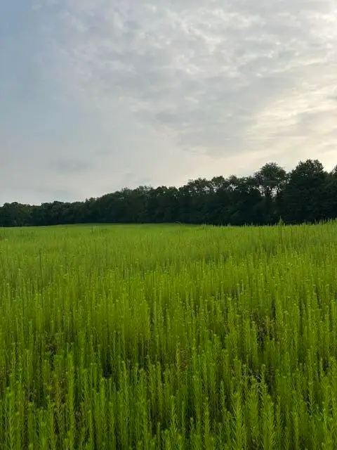 V/L W Y Avenue, Schoolcraft, MI 49087 - #3