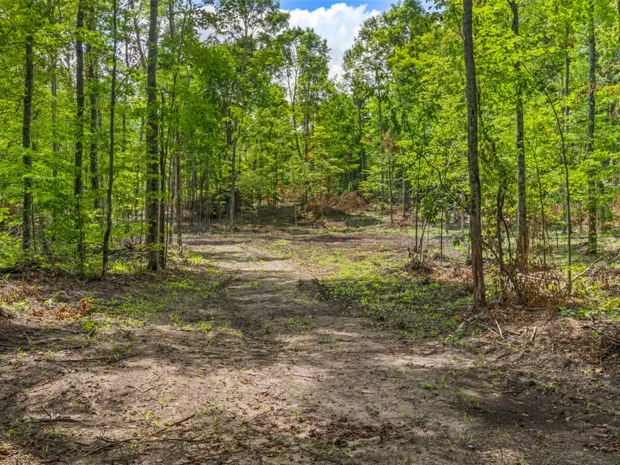00 Valencourt Road, Copemish, MI 49625 - #2