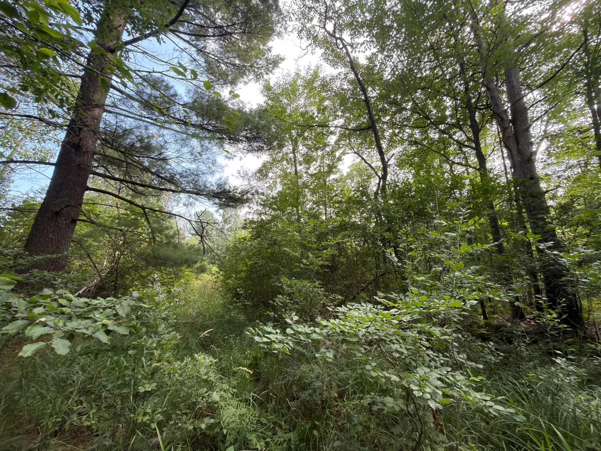 Us-31, Manistee, MI 49660 - #1