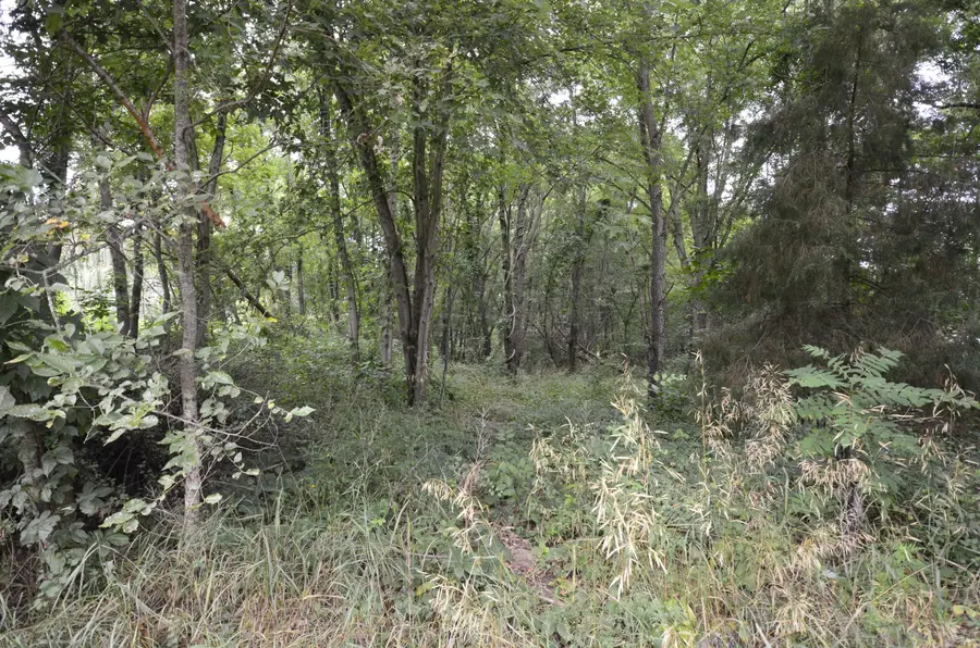 V/L Silverstone Drive, Three Rivers, MI 49093 - #3