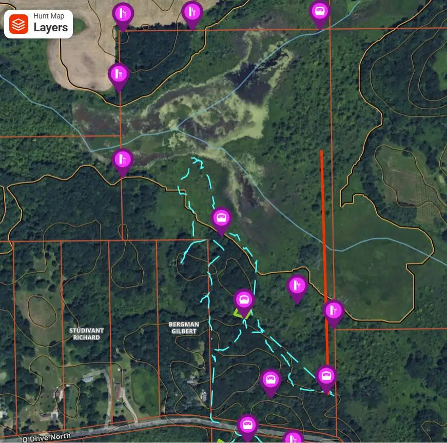 N Q Drive, Marshall, MI 49068 - #3