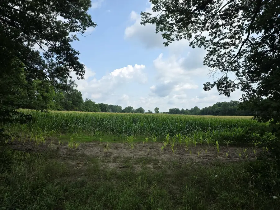 Q Drive South (parcel 1), Burlington, MI 49029 - #2