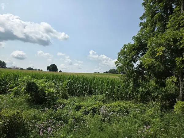 13 Mile Rd (parcel 3), Burlington, MI 49029