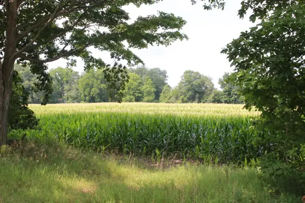 P Drive S (parcel 4), Burlington, MI 49029