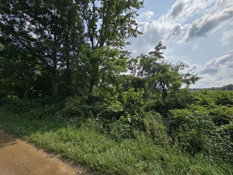 13 Mile Rd (parcel 5), Burlington, MI 49029 - #2