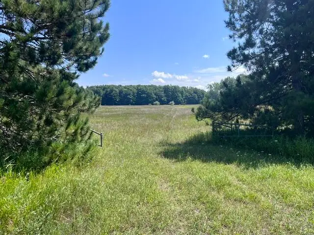 14.7 Acres Erdman Road, Bear Lake, MI 49614 - #3