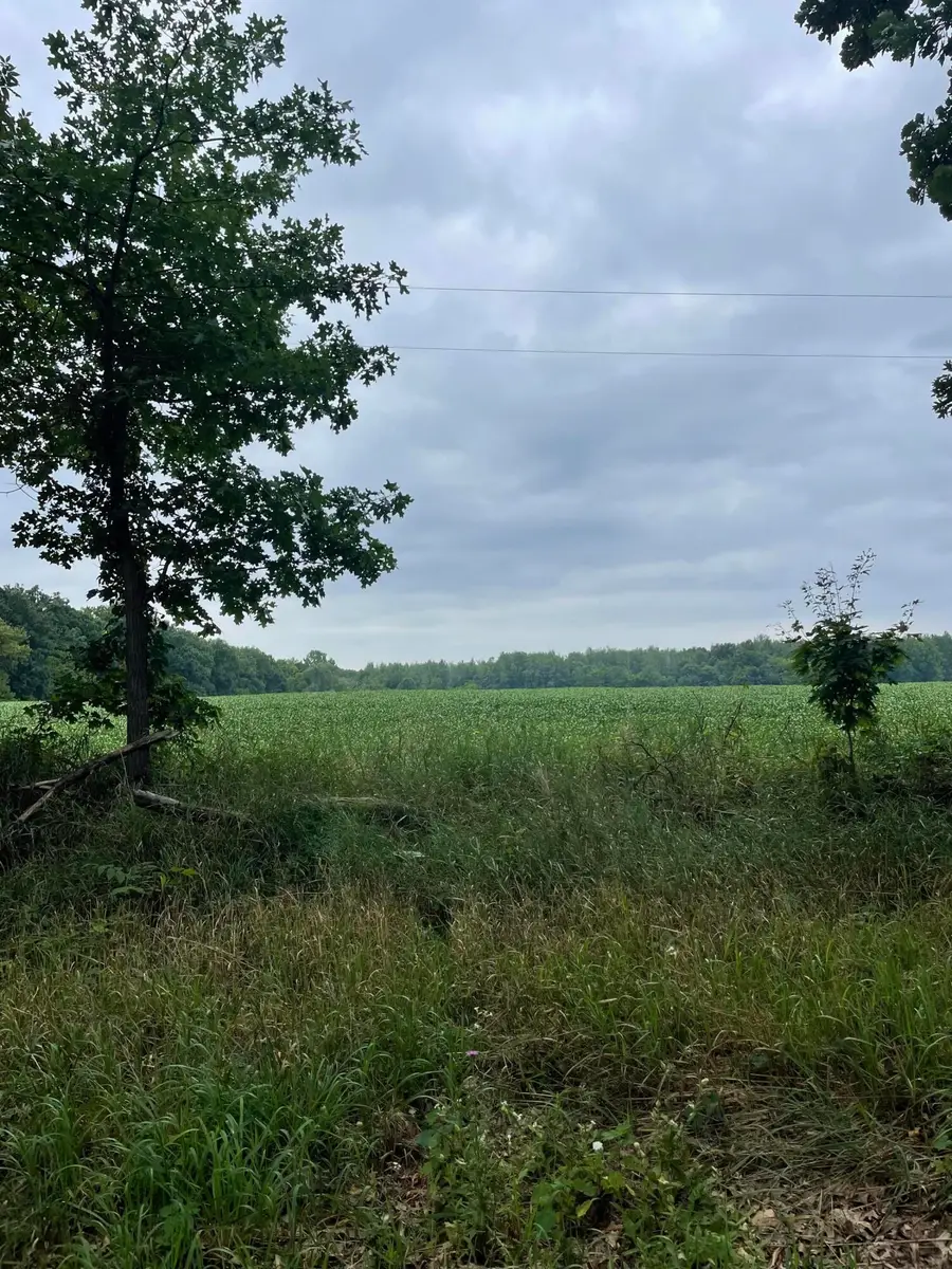 0000 Jacob Road, Grass Lake, MI 49240 - #2