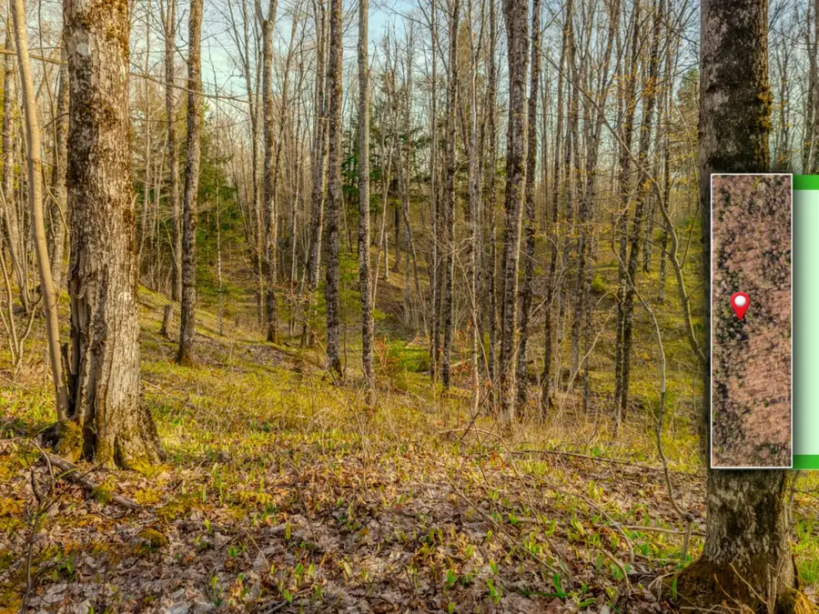 Lot 2 Horoscope Road, Pelkie, MI 49958 - #2