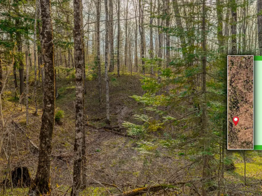 Lot 2 Horoscope Road, Pelkie, MI 49958 - #3