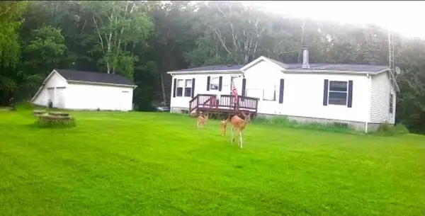 5800 Brining Road, Port Hope, MI 48468