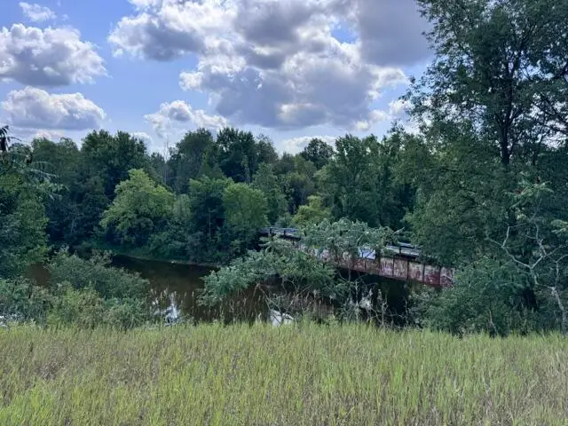 1.5 Acres V/l 170th Avenue, Hersey, MI 49639 - #1