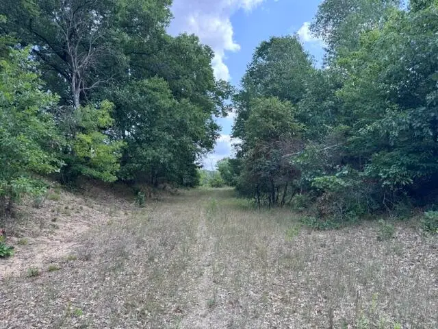 1.5 Acres V/l 170th Avenue, Hersey, MI 49639 - #2