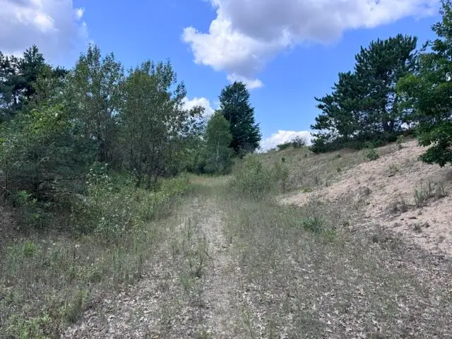 1.5 Acres V/l 170th Avenue, Hersey, MI 49639 - #3