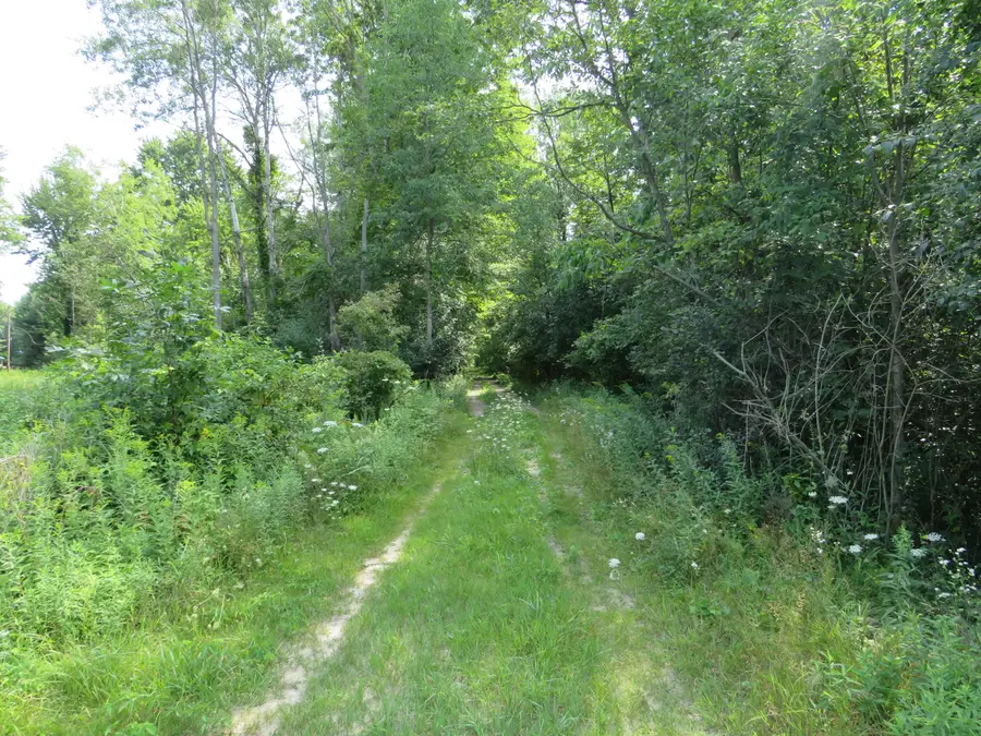Vl Meridian (m-30) Road, Sanford, MI 48657 - #3