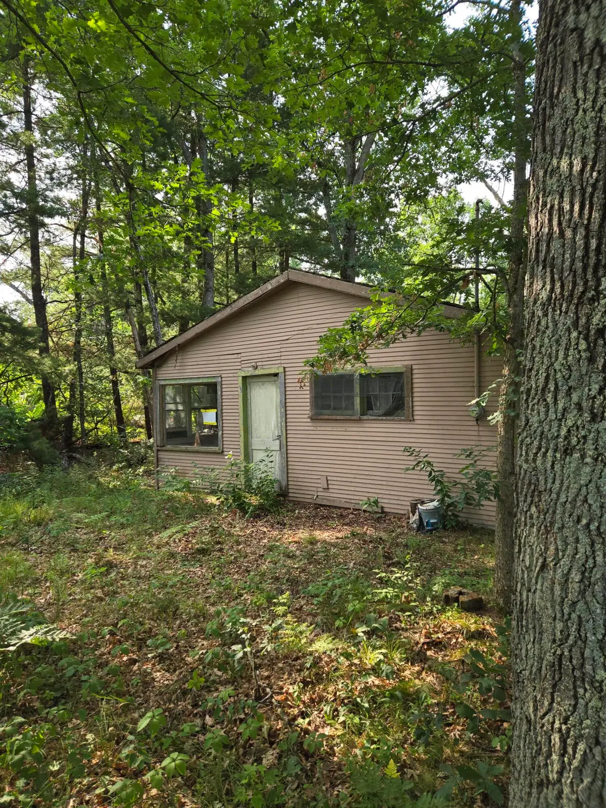 290 E Decatur, Idlewild, MI 49642 - #1