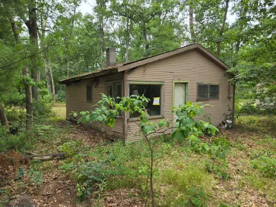 290 E Decatur, Idlewild, MI 49642 - #2