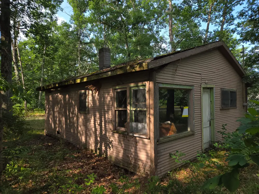 290 E Decatur, Idlewild, MI 49642 - #3