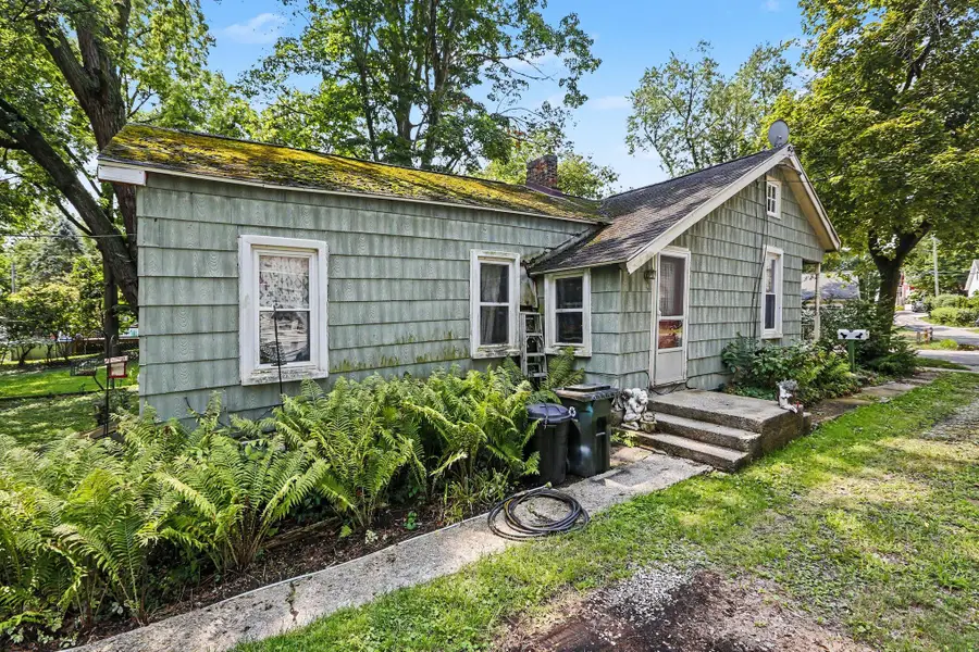 119 Madison Street, Chelsea, MI 48118 - #2