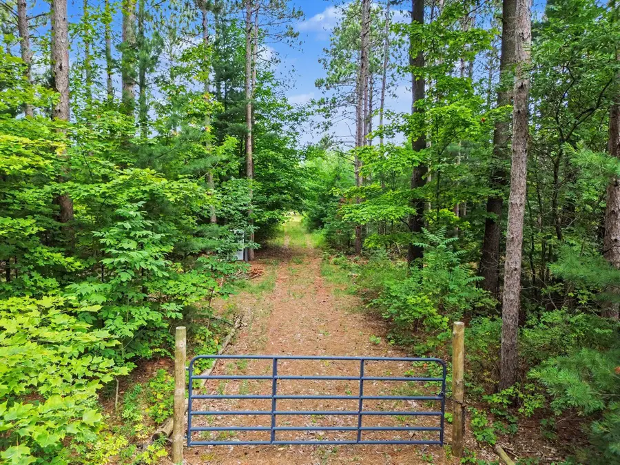 8732 Aylsworth Road, Benzonia, MI 49616 - #3