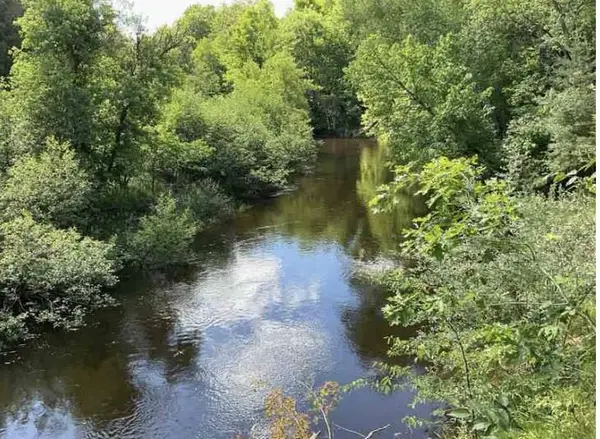 S Forward Road, Falmouth, MI 49632
