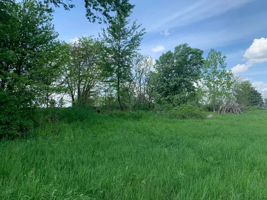 Brink Road, Bronson, MI 49028 - #2
