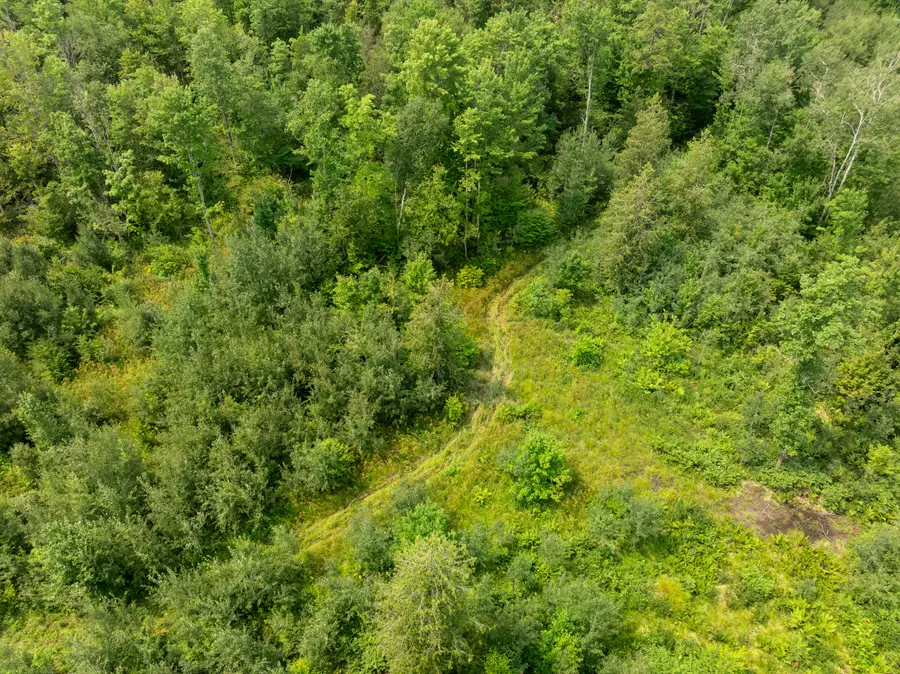 000 S Thompsonville Highway, Thompsonville, MI 49683 - #3