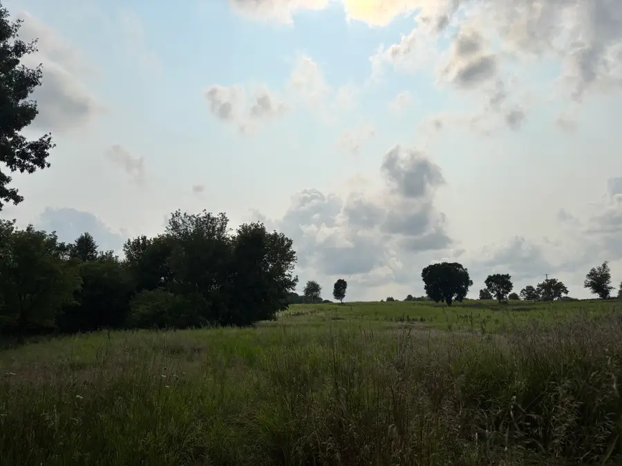Norvell Road, Brooklyn, MI 49230 - #3