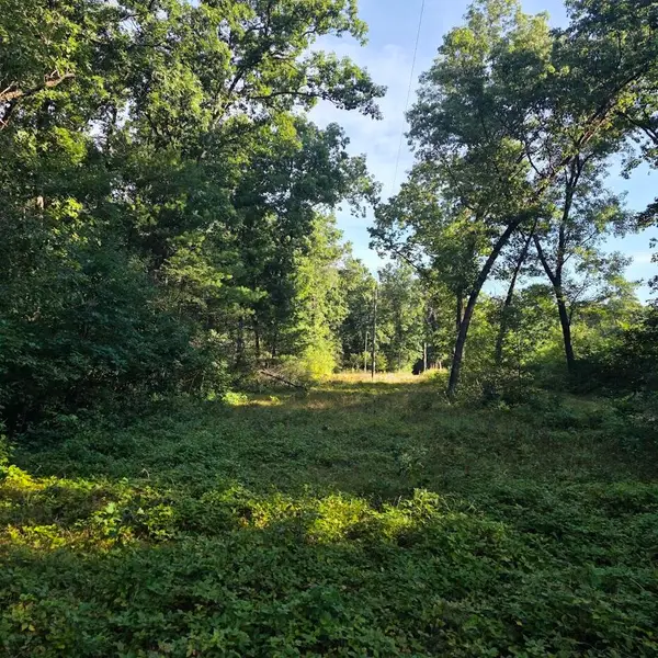 S Outaway Drive, Newaygo, MI 49337