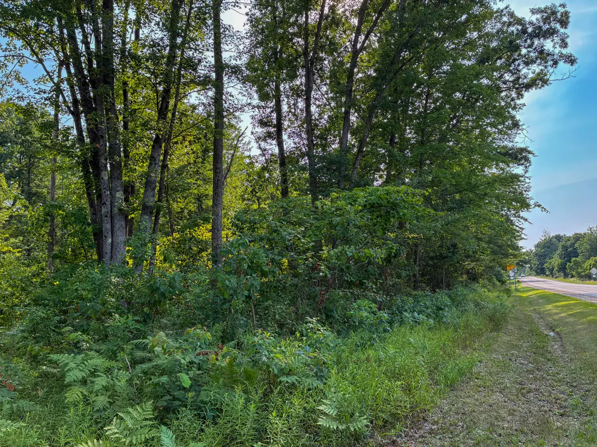 V/L E Jackson Street, White Cloud, MI 49349 - #1