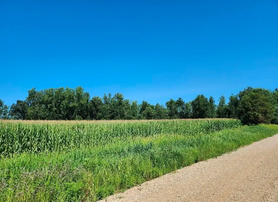 Root V/l Road, Constantine, MI 49042 - #2
